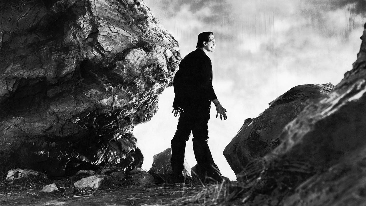 Poster of the movie frankenstein